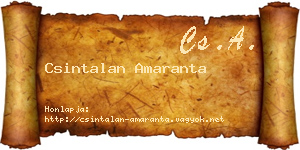 Csintalan Amaranta névjegykártya